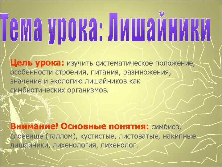 Цель урока: изучить систематическое положение, особенности строения, питания, размножения, значение и экологию лишайников как