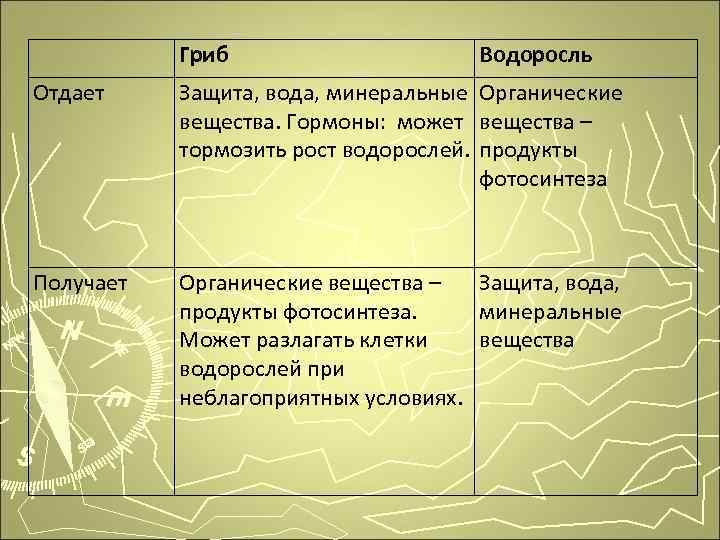 Гриб Водоросль Отдает Защита, вода, минеральные Органические вещества. Гормоны: может вещества – тормозить рост