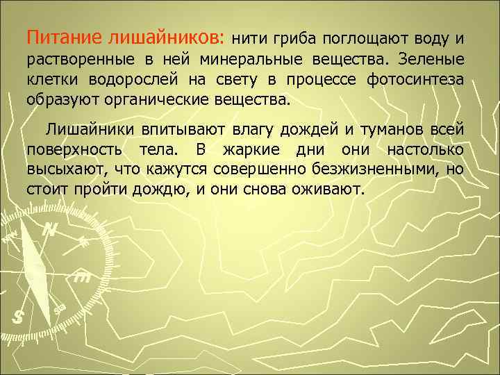 Питание лишайников: нити гриба поглощают воду и растворенные в ней минеральные вещества. Зеленые клетки