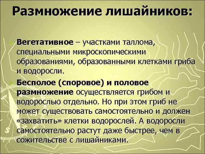 Размножение лишайников: ► Вегетативное – участками таллома, специальными микроскопическими образованиями, образованными клетками гриба и