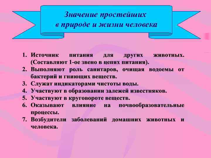Значение простейших в природе и жизни человека 