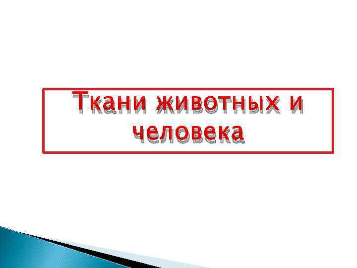 Ткани животных и человека 