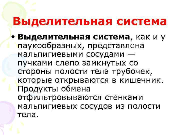 Выделительная система • Выделительная система, как и у паукообразных, представлена мальпигиевыми сосудами — пучками