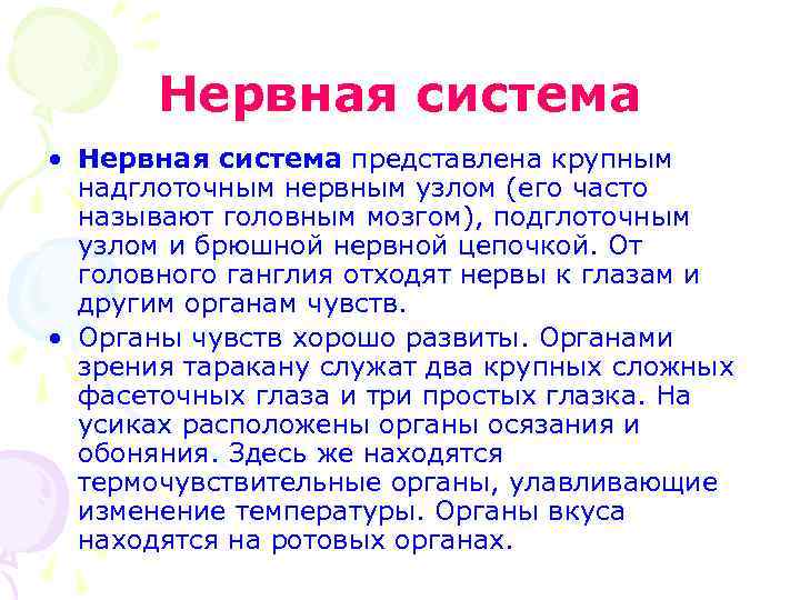 Нервная система • Нервная система представлена крупным надглоточным нервным узлом (его часто называют головным