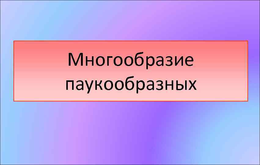 Многообразие паукообразных 