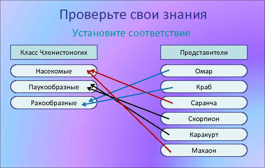 Проверьте свои знания Установите соответствие Класс Членистоногих Представители Насекомые Омар Паукообразные Краб Ракообразные Саранча