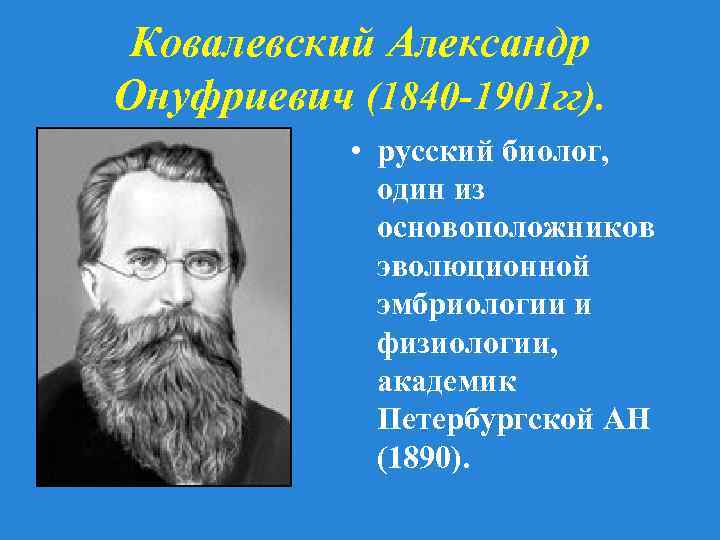 Ковалевский Александр Онуфриевич (1840 -1901 гг). • русский биолог, один из основоположников эволюционной эмбриологии