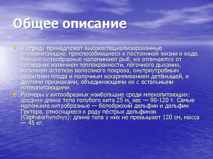 Общее описание • К отряду принадлежат высокоспециализированные • млекопитающие, приспособившиеся к постоянной жизни в