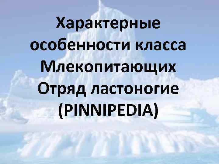 Характерные особенности класса Млекопитающих Отряд ластоногие (PINNIPEDIA) 
