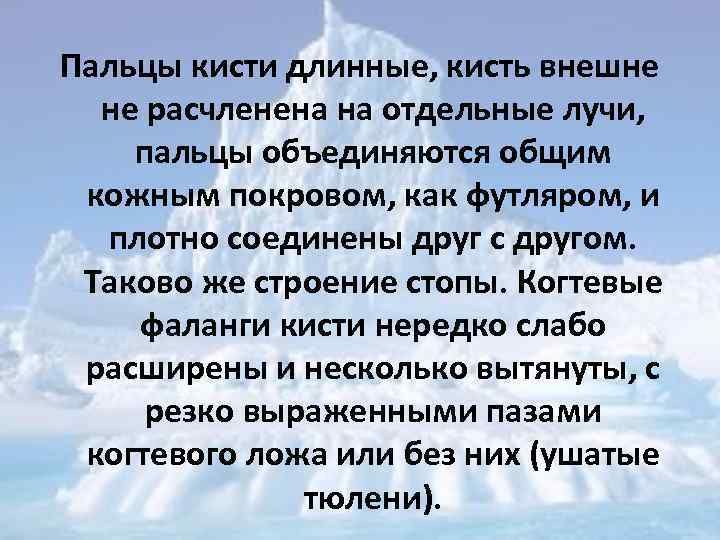 Пальцы кисти длинные, кисть внешне не расчленена на отдельные лучи, пальцы объединяются общим кожным