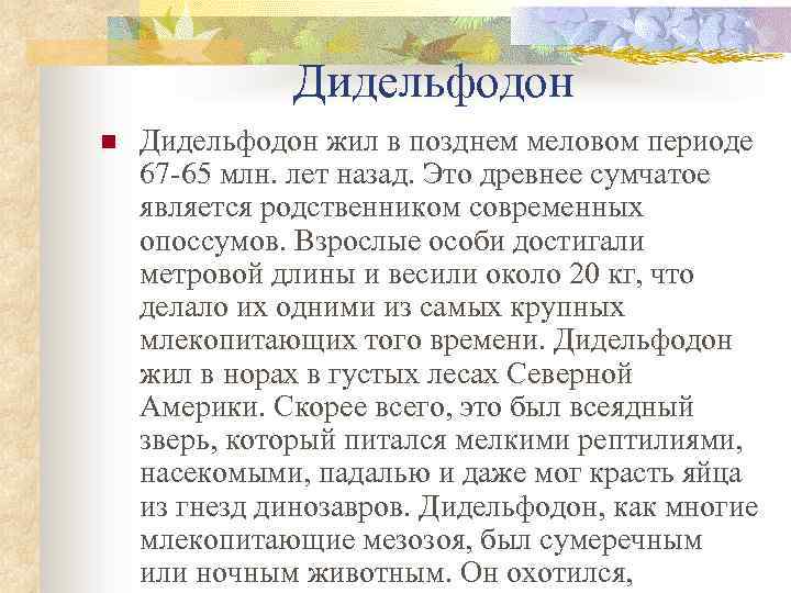 Дидельфодон n Дидельфодон жил в позднем меловом периоде 67 -65 млн. лет назад. Это