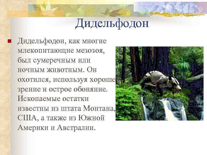 Дидельфодон n Дидельфодон, как многие млекопитающие мезозоя, был сумеречным или ночным животным. Он охотился,