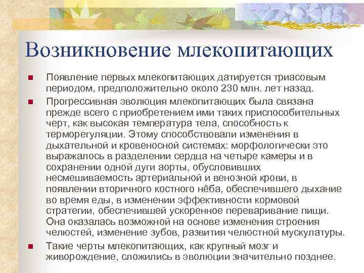 Возникновение млекопитающих n n n Появление первых млекопитающих датируется триасовым периодом, предположительно около 230