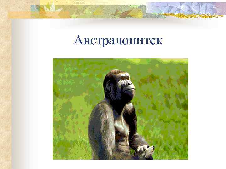 Австралопитек 