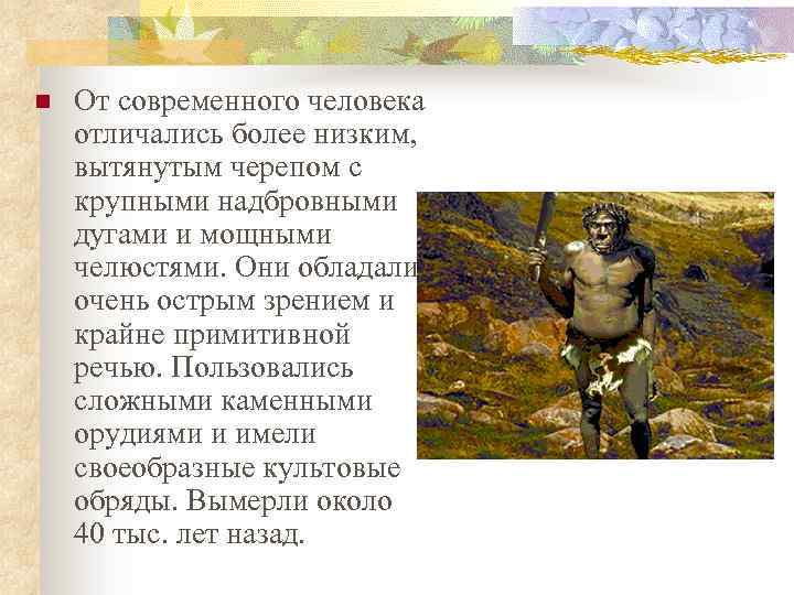 n От современного человека отличались более низким, вытянутым черепом с крупными надбровными дугами и