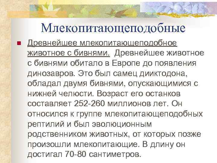 Млекопитающеподобные n Древнейшее млекопитающеподобное животное с бивнями. Древнейшее животное с бивнями обитало в Европе