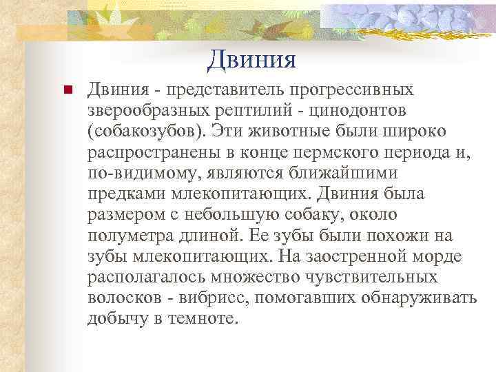 Двиния n Двиния - представитель прогрессивных зверообразных рептилий - цинодонтов (собакозубов). Эти животные были