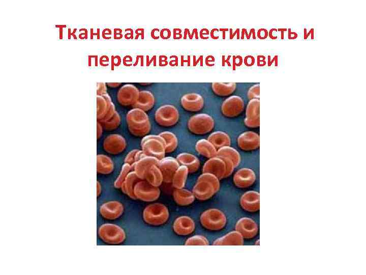 Тканевая совместимость и переливание крови 