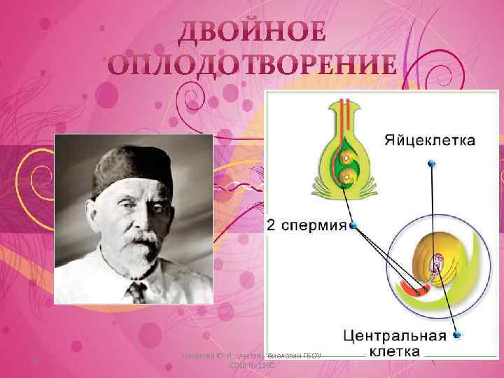 19 Косогова Ю. И. , учитель биологии ГБОУ СОШ № 1130 