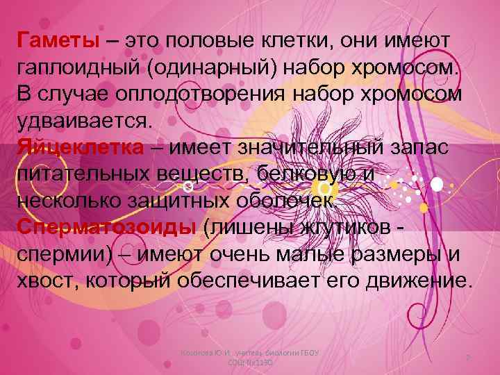Гаметы – это половые клетки, они имеют гаплоидный (одинарный) набор хромосом. В случае оплодотворения