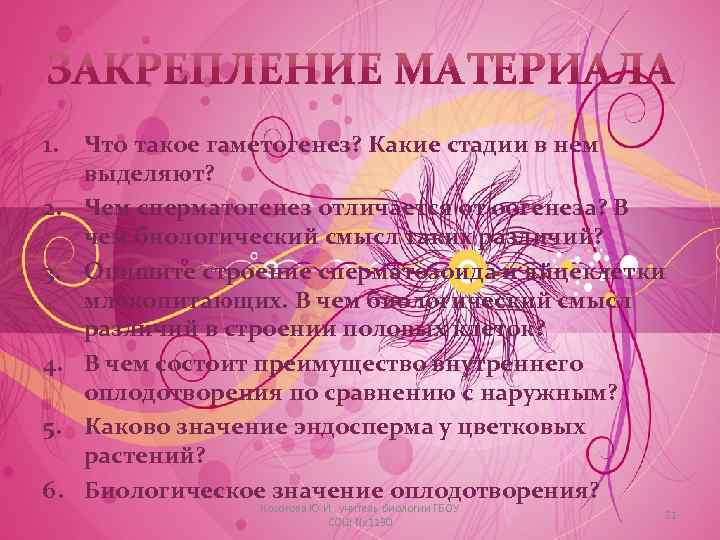 1. 2. 3. 4. 5. 6. Что такое гаметогенез? Какие стадии в нем выделяют?