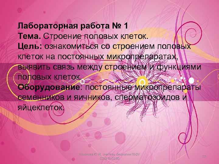 Лабораторная работа № 1 Тема. Строение половых клеток. Цель: ознакомиться со строением половых клеток