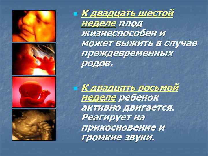 n n К двадцать шестой неделе плод жизнеспособен и может выжить в случае преждевременных