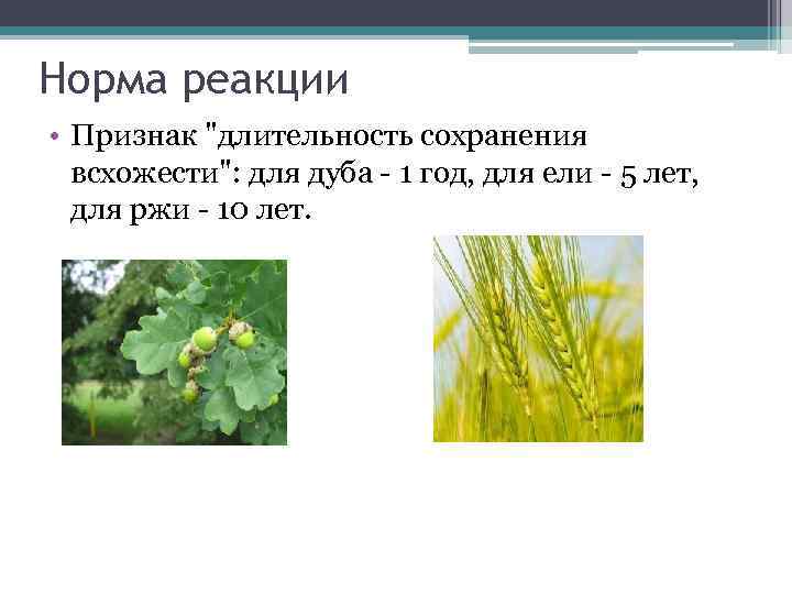 Норма реакции • Признак 