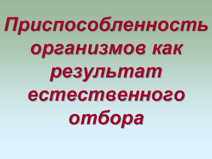 Приспособленность организмов как результат естественного отбора 