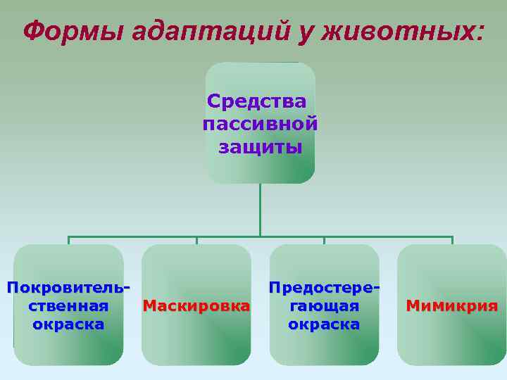 Формы адаптации. Средства пассивной защиты у растений. Средства пассивной защиты биология.