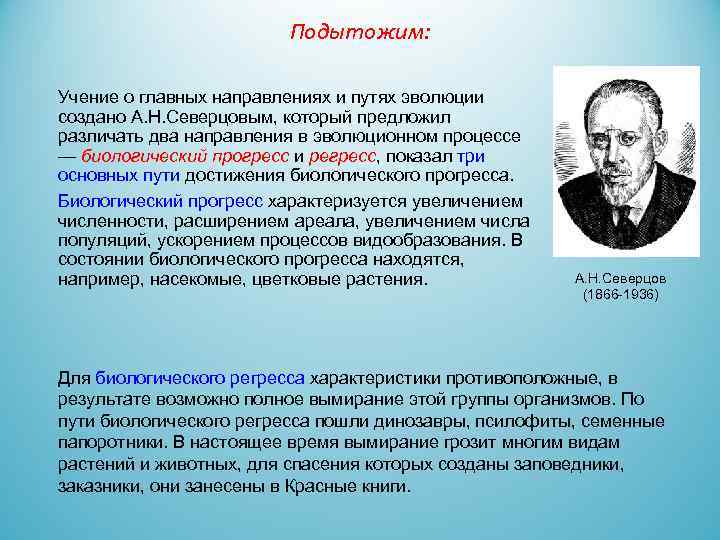 Подытожим: Учение о главных направлениях и путях эволюции создано А. Н. Северцовым, который предложил