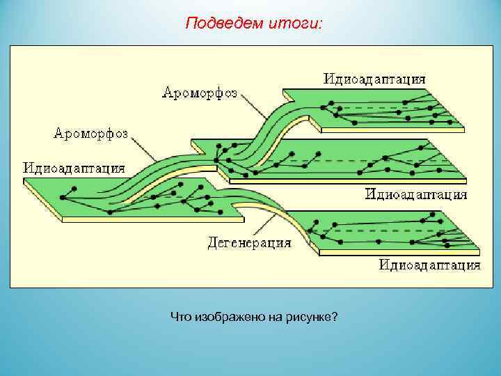 Подведем итоги: Что изображено на рисунке? 