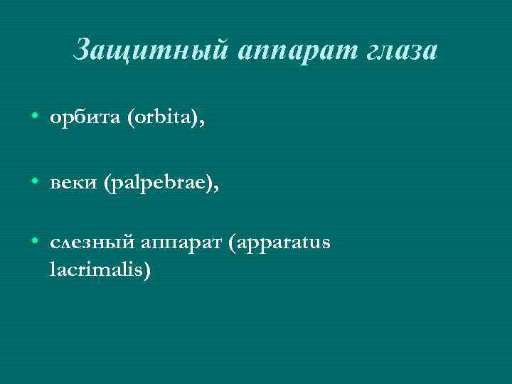 Защитный аппарат глаза • орбита (orbita), • веки (palpebrae), • слезный аппарат (apparatus lacrimalis)