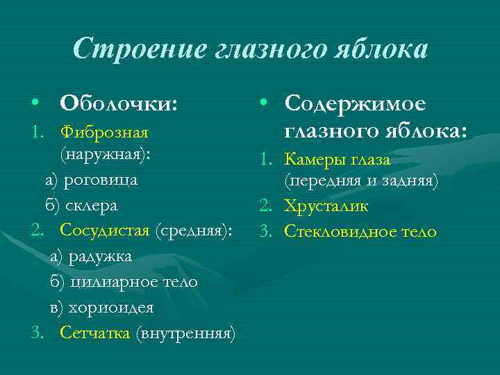 Строение глазного яблока • Оболочки: 1. Фиброзная (наружная): а) роговица б) склера 2. Сосудистая