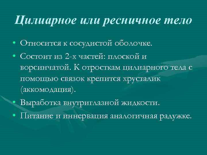 Цилиарное или ресничное тело • Относится к сосудистой оболочке. • Состоит из 2 -х