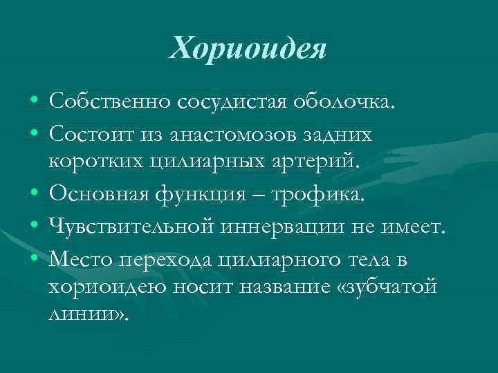 Хориоидея • Собственно сосудистая оболочка. • Состоит из анастомозов задних коротких цилиарных артерий. •