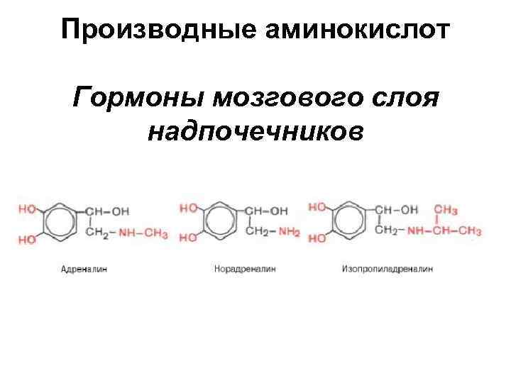 Производные аминокислот. Гормоны производные аминокислоты тирозин это. Производные аминокислоты тирозина. Гормоны являющиеся производными аминокислот. Гормоны производные аминокислот.