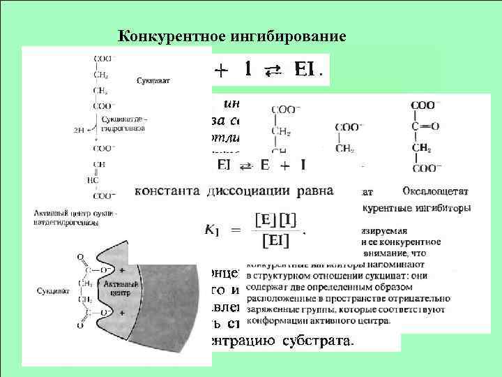Конкурентное ингибирование 