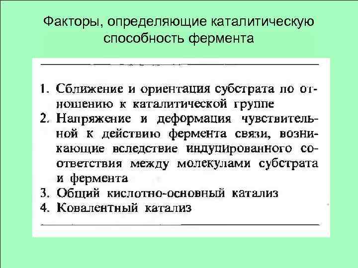 Факторы, определяющие каталитическую способность фермента 