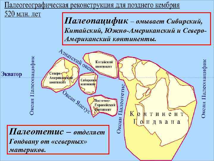 Палеопацифик – омывает Сибирский, Китайский, Южно-Американский и Северо. Американский континенты. Палеотетис – отделяет Гондвану