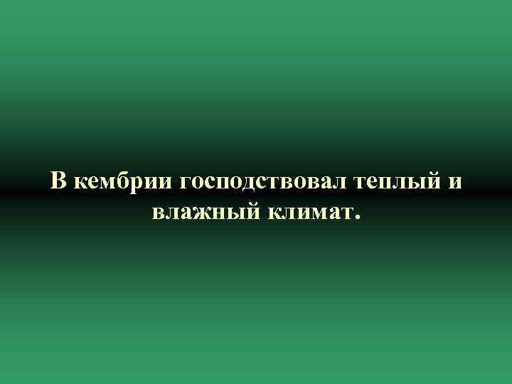 В кембрии господствовал теплый и влажный климат. 