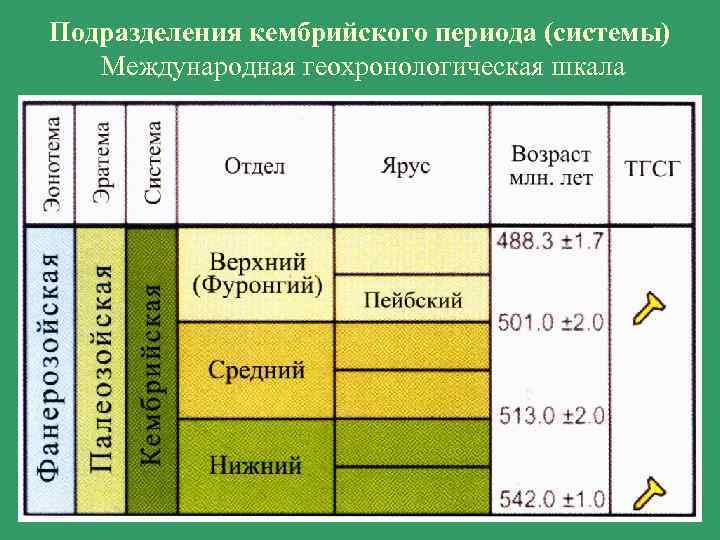 Подразделения кембрийского периода (системы) Международная геохронологическая шкала 