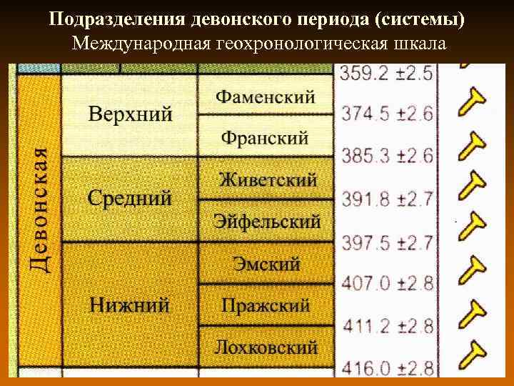 Подразделения девонского периода (системы) Международная геохронологическая шкала 