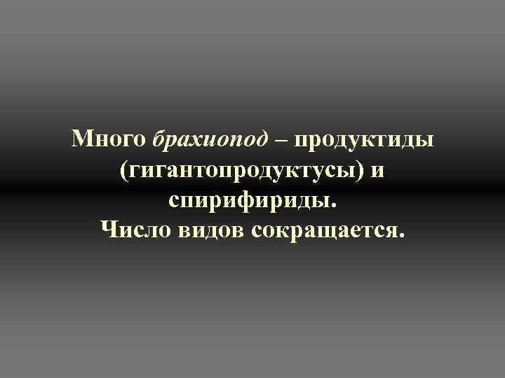 Много брахиопод – продуктиды (гигантопродуктусы) и спирифириды. Число видов сокращается. 