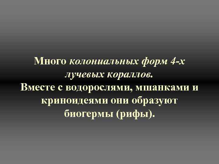 Много колониальных форм 4 -х лучевых кораллов. Вместе с водорослями, мшанками и криноидеями они