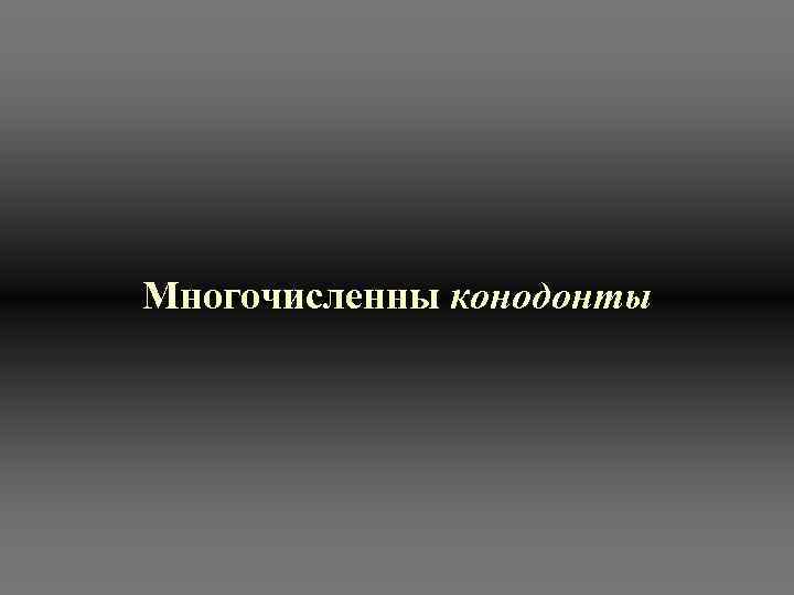 Многочисленны конодонты 