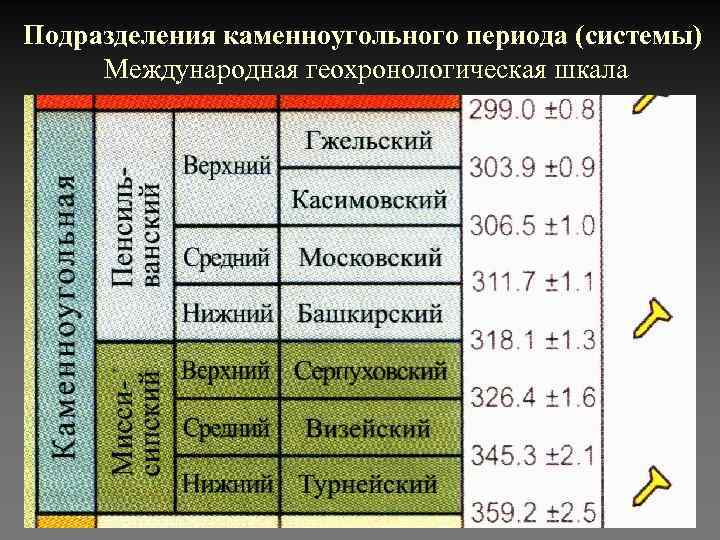 Подразделения каменноугольного периода (системы) Международная геохронологическая шкала 