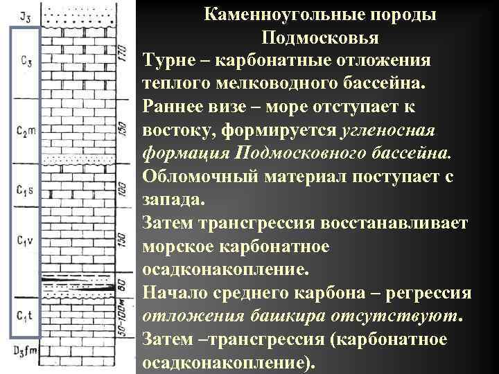 Каменноугольные породы Подмосковья Турне – карбонатные отложения теплого мелководного бассейна. Раннее визе – море