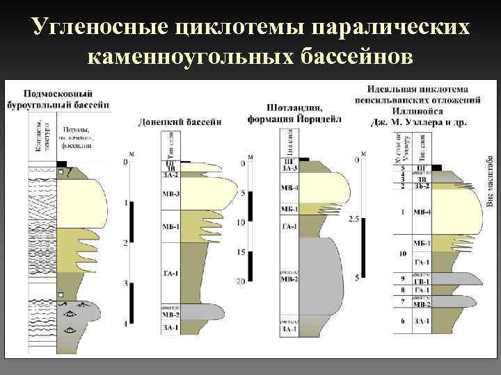 Угленосные циклотемы паралических каменноугольных бассейнов 