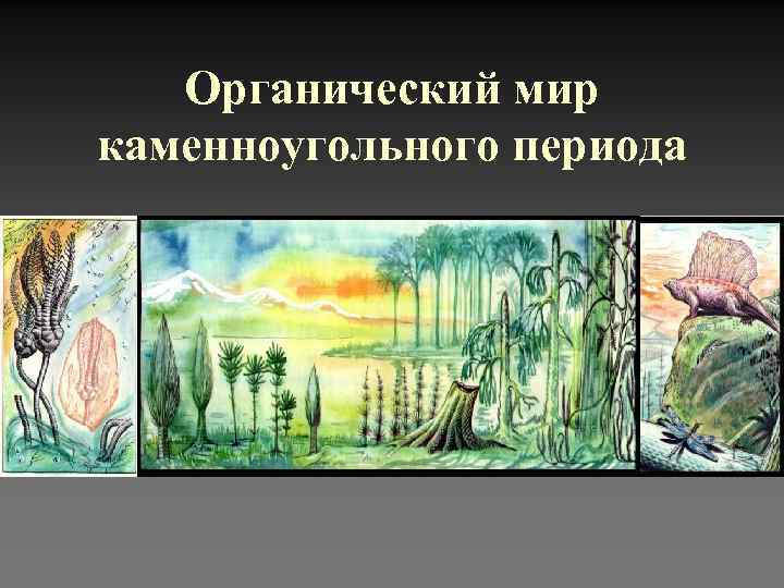 Органический мир каменноугольного периода 